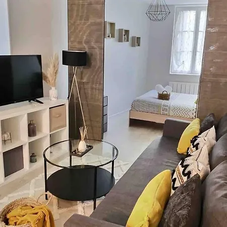 Grand Studio Cosy 33m2 - Hypercentre