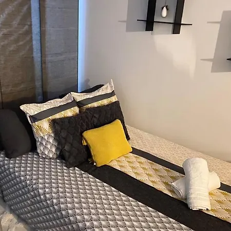 Grand Studio Cosy 33m2 - Hypercentre *